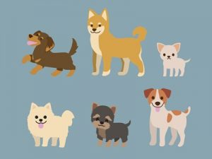 年賀状　犬　イラスト　かわいい