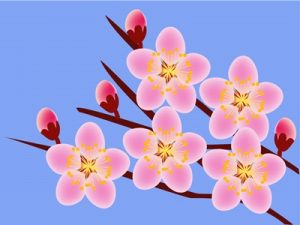 梅の花　イラスト　綺麗　無料　フリー