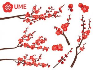 かわいい オシャレ 梅の花のイラスト 無料素材 おすすめ じゃ