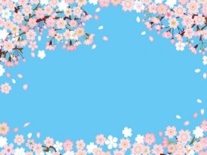 お花見　桜　背景　イラスト　無料　フリー