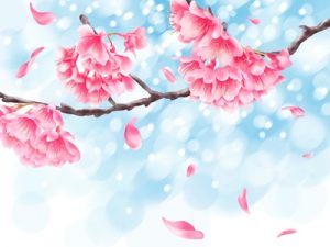 動物画像のすべて エレガント猫 桜 イラスト 綺麗