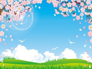 お花見　桜　背景　イラスト　無料　フリー