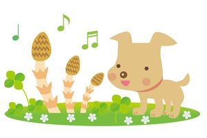 春　イラスト　犬　かわいい　無料　フリー