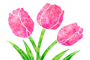 Tulip Illust Watercolor じゃぱねすくライフ