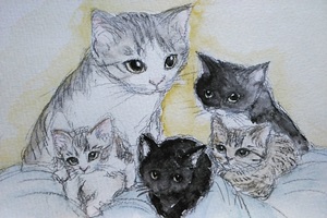 猫　イラスト　手書き　手描き　線画　無料　フリー