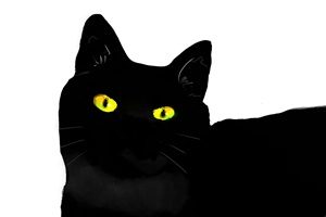 黒猫　イラスト　手書き　手描き　クール　かっこいい　無料　フリー