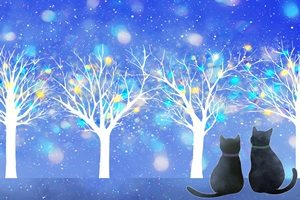 黒猫　イラスト　背景　壁紙　冬　無料　フリー