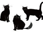 黒猫　イラスト　クール　無料　フリー