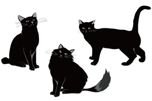 黒猫　イラスト　クール　無料　フリー