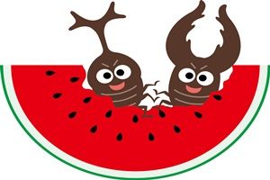 無料イラスト画像 ロイヤリティフリーかわいい スイカ 食べる イラスト