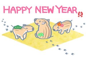 年賀状 うり坊の可愛いイラスト 無料 じゃぱねすくライフ