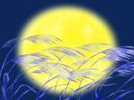 中秋の名月　十五夜　十三夜　お月見　満月　ススキ　イラスト　無料　フリー