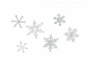 白黒 シルエット 雪の結晶のイラスト素材 無料 商用フリー じゃぱねすくライフ