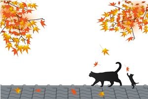 もみじ　猫　黒猫　イラスト　無料　フリー　おしゃれ　かわいい　秋　紅葉