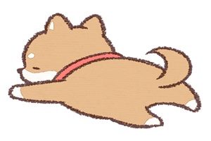 かわいい動物画像 驚くばかり柴犬 犬 イラスト ゆるい