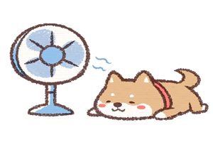 無料 柴犬のイラスト素材 かわいい ゆるい ゆるかわ じゃぱね