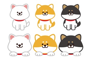 柴犬　黒柴　赤柴　白柴　かわいい　イラスト　無料　商用フリー