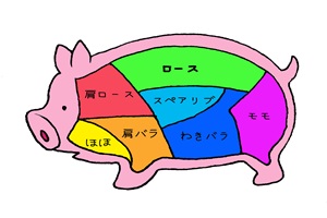豚肉の部位のイラスト